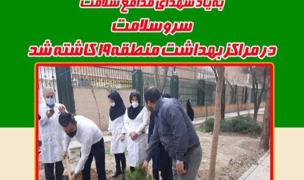 سرو سلامت در مراکز بهداشت منطقه ۱۹ کاشته شد