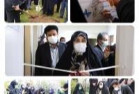 افتتاح خانه محیط زیست در محله عباس آباد منطقه ۷