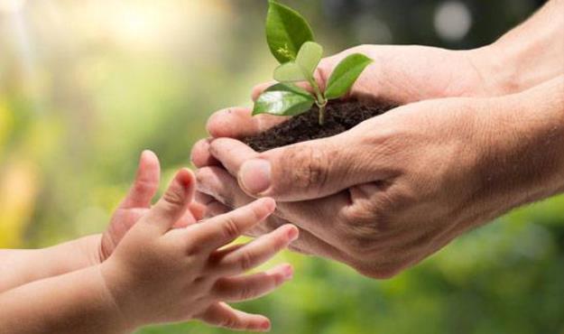 اجرای پویش زیباترین سبزه زیست محیطی در دارالمومنین طهران