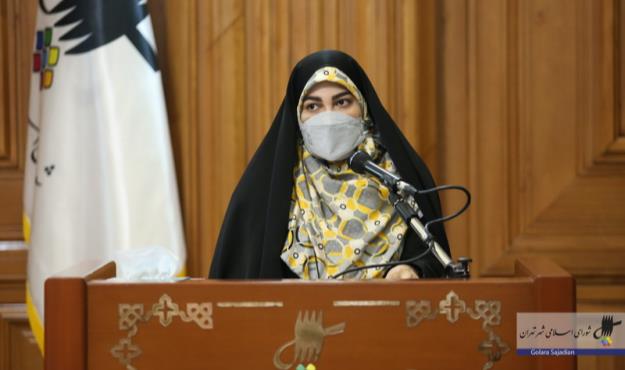 ضرورت قرارگیری نهادهای فراملی در کنار مدیریت شهری به منظور رفع مشکل آلودگی هوا
