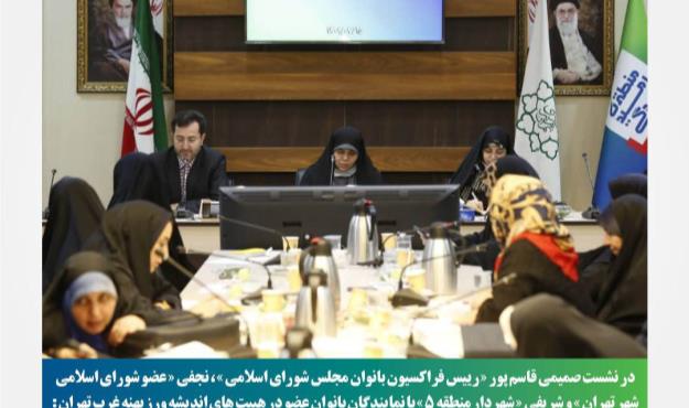 از پتانسیل های بانوان برای حل مشکلات آنان استفاده خواهیم کرد