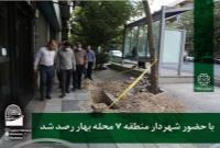 با حضور شهردار منطقه ۷ محله بهار رصد شد