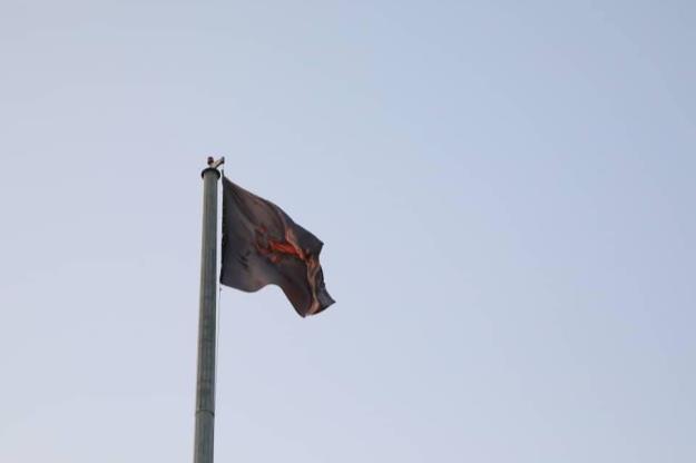 اهتزاز پرچم حرم امام حسین(ع) در منطقه۱۳ و تجلیل از پیرغلامان و خادمان