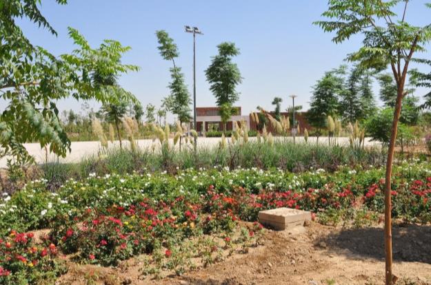 افتتاح فاز یک بوستان ایرانیان؛ مجهزترین پارک ویژه افراد کم توان در شهر تهران