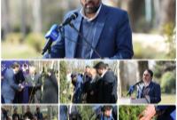 نهال یاد شهدای منطقه ۶ در خاک بوستان لاله غرس شد
