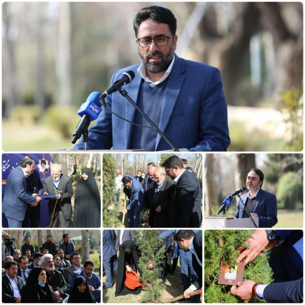 نهال یاد شهدای منطقه ۶ در خاک بوستان لاله غرس شد
