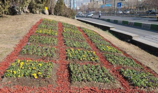 چهره شمال شرق پایتخت با فرش های گل آراسته شد
