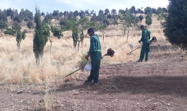 پاکسازی ۴۰۰ هکتار بوستان جنگلی سرخه حصار از علف های هرز