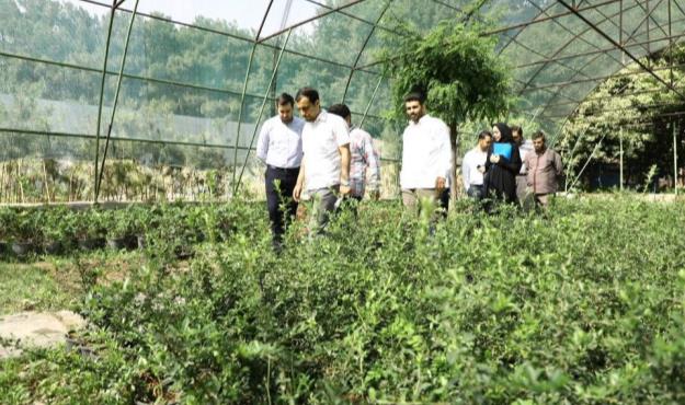 بازپیرایی و احداث بوستان جدید ۲۰ هزار مترمربعی در محور بزرگراه شهید دوران