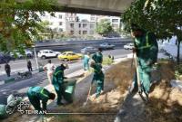 بازپیرایی ۳ هزار مترمربع فضای سبز بزرگراه شهید صدر
