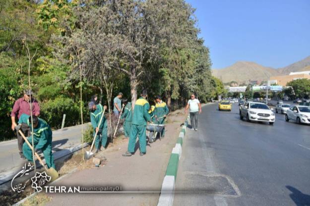 ۳۵۰۰ مترمربع فضای سبز بزرگراه شهید چمران بازپیرایی شد