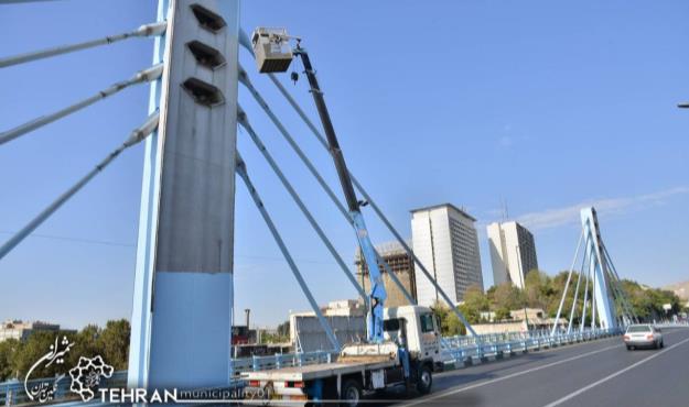 زیباسازی پل پارک وی، به عنوان یکی از المان های شاخص در شمال تهران آغاز شد