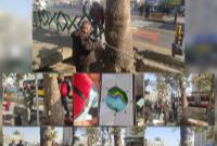 اسکن درختان در طولانی ترین خیابان تهران/ پیشگیری از سقوط درختان با سیستم توموگرافی