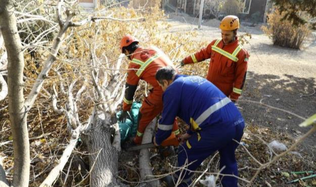 برگزاری مانور طوفان توسط ستاد مدیریت بحران منطقه ۱۳