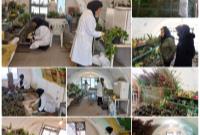 راه اندازی اولین سایت پرورش نشاء و گیاهان آپارتمانی در بوستان بانوان منطقه ۱۹