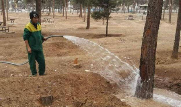 صیانت از درختان بوستان جنگلی سرخه حصار منطقه ۱۳