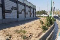 هیچ درختی در بزرگراه صیادشیرازی طی اجرای پروژه زیرگذر میدان سپاه قطع نشده است