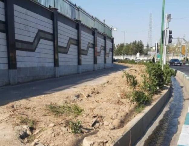 هیچ درختی در بزرگراه صیادشیرازی طی اجرای پروژه زیرگذر میدان سپاه قطع نشده است