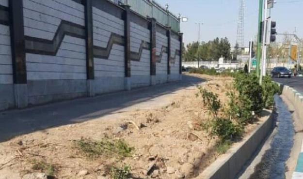 هیچ درختی در بزرگراه صیادشیرازی طی اجرای پروژه زیرگذر میدان سپاه قطع نشده است