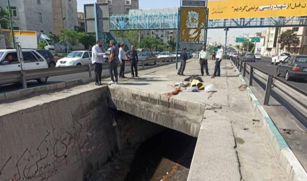 پاکسازی کلونی پرخطر در مسیل باقری