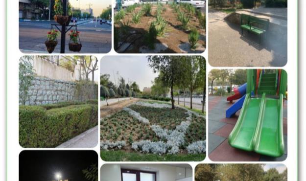 رسیدگی ویژه به فضاهای سبز شمال شرق پایتخت در پاییز ۱۴۰۳