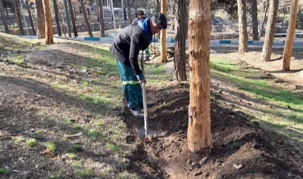 لایروبی انهار و به زراعی فضای سبز بوستان جنگلی سرخه حصار