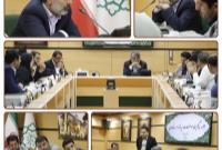 دلاوران در خط تکمیل/ عملیات آسفالت، جدولگذاری و آزادسازی همزمان پیش میرود