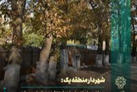 بهسازی میدان تجریش با رویکرد حفظ هویت و صیانت از درختان کهنسال ادامه دارد