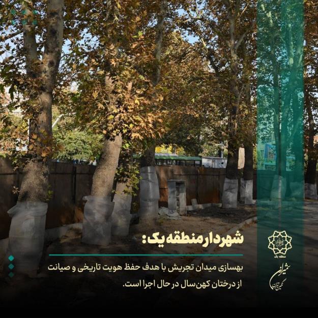 بهسازی میدان تجریش با رویکرد حفظ هویت و صیانت از درختان کهنسال ادامه دارد