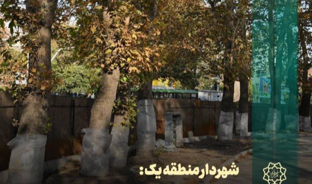 بهسازی میدان تجریش با رویکرد حفظ هویت و صیانت از درختان کهنسال ادامه دارد